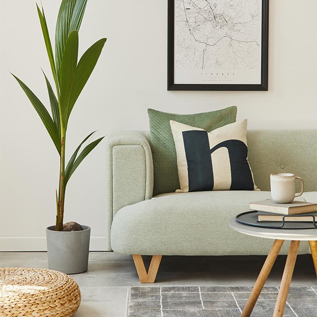 Home/Decor